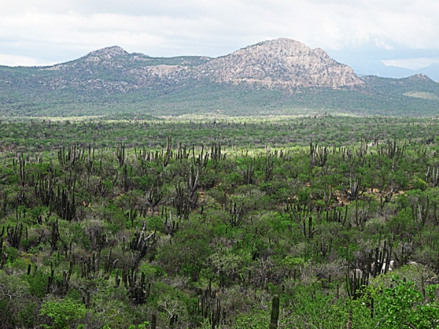 Paisajes de Los Cabos